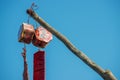 The red chinese fire crackers for celebration day Royalty Free Stock Photo