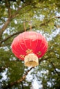 Red chinese lamp