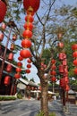 Red Chinese lantern Royalty Free Stock Photo