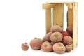 Red chioggia beets in a wooden crate Royalty Free Stock Photo