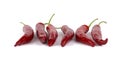 Red chlli peppers Royalty Free Stock Photo