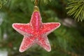 Red chrismas star Royalty Free Stock Photo