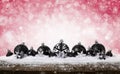 Red Christmas Background - Decorated Black Balls On Snow with snowflakes and stars on wooden desk