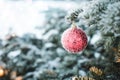 Red Christmas ball on branch of fir covered with snow. Royalty Free Stock Photo