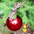 Red Christmas ball with checkered ribon