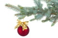 Red christmas ball decorations on fir tree Royalty Free Stock Photo