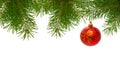 Red christmas ball on fir branch isolated . Royalty Free Stock Photo