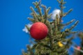 Red Christmas ball on a green pine tree branch on blue sky background Royalty Free Stock Photo