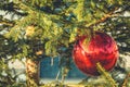 Red christmas ball hanging on a Christmas tree Royalty Free Stock Photo