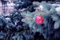 Red Christmas ball hanging on fir branches in winter, close-up with empty space for text, greeting card concept Royalty Free Stock Photo