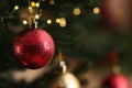 Red Christmas ball hanging on fir tree branch against blurred background, closeup. Space for text Royalty Free Stock Photo