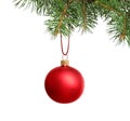 Red Christmas ball hanging on fir tree branch  white background Royalty Free Stock Photo