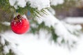 Christmas ball hanging on branches covered with snow. Royalty Free Stock Photo