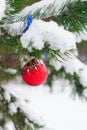 Christmas ball hanging on branches covered with snow. Royalty Free Stock Photo