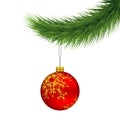 Red Christmas ball on pine branch isolated on white Royalty Free Stock Photo