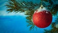 Red Christmas ball on pine branch Royalty Free Stock Photo