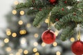 Red Christmas balls hanging on fir tree against blurred festive lights Royalty Free Stock Photo