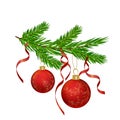 Red Christmas balls and ribbons on a fir branch. Isolated on a white background Royalty Free Stock Photo