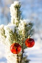 Red christmas balls