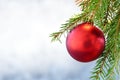 Red christmas bauble on green fir branch Royalty Free Stock Photo