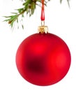 Red Christmas bauble hanging on fir tree branch Isolated on white background Royalty Free Stock Photo