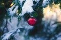 Red Christmas bauble hanging on a pine branch covered in snow Royalty Free Stock Photo