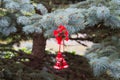 Red Christmas bells on real blue spruce tree. Fluffy branches of