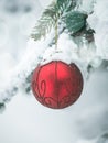 Red Christmas decoration globe on a pine tree with snow on the branches. Winter winter holidays postcard Royalty Free Stock Photo