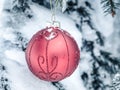 Red Christmas decoration globe on a pine tree with snow on the branches. Winter winter holidays postcard Royalty Free Stock Photo