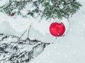 Red Christmas decoration globe on a pine tree with snow on the branches. Winter holidays postcard Royalty Free Stock Photo