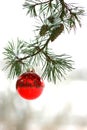 Red Christmas decoration on snow-covered pine tree outdoors