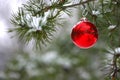 Red Christmas decoration on snow-covered pine tree outdoors Royalty Free Stock Photo