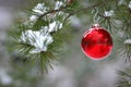 Red Christmas decoration on snow-covered pine tree outdoors Royalty Free Stock Photo