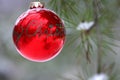 Red Christmas decoration on snow-covered pine tree outdoors Royalty Free Stock Photo