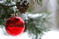 Red Christmas decoration on snow-covered pine tree outdoors Royalty Free Stock Photo