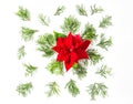 Red Christmas flower Poinsettia Floral Flat lay background