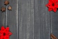 Red christmas flowers and brown decorations on wooden background