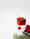 Red Christmas gift on white snow background