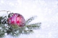 Red Christmas Ornament on Pine Branches and Snow