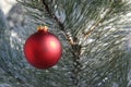 Red Christmas Ornament in Snowy Pine Tree