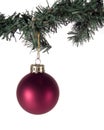 Red Christmas Ornament and tree branch