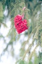 Red Christmas ornaments, heart, on a Christmas tree Merry Christmas greeting card. Winter holiday theme. Royalty Free Stock Photo