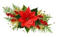 Red Christmas poinsettia flower red berries and thuya twigs in a Christmas arrangement isolated on white Royalty Free Stock Photo