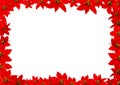 Red christmas poinsettia flower border Royalty Free Stock Photo