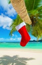 Red Christmas sock on palm tree at tropical ocean beach. Royalty Free Stock Photo