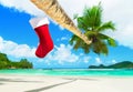 Red Christmas sock on palm tree at tropical ocean beach. Royalty Free Stock Photo