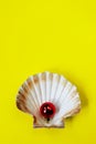 Red Christmas toy in the big seashell over yellow background. Holidays concept.