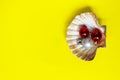 Red Christmas toy in the big seashell over yellow background. Holidays concept.