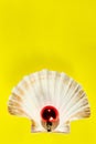 Red Christmas toy inside a big white seashell over yellow background. Holidays background. Royalty Free Stock Photo