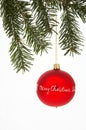 Red Christmas Tree Ball with spruce - rote Weihnachtskugel mit T Royalty Free Stock Photo